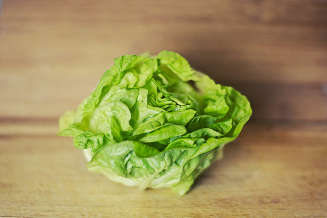 Free stock image of Fresh Lettuce