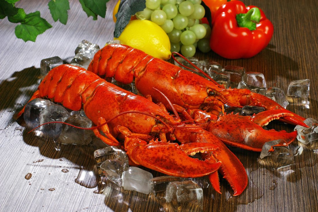 Free stock image of Fresh Lobsters