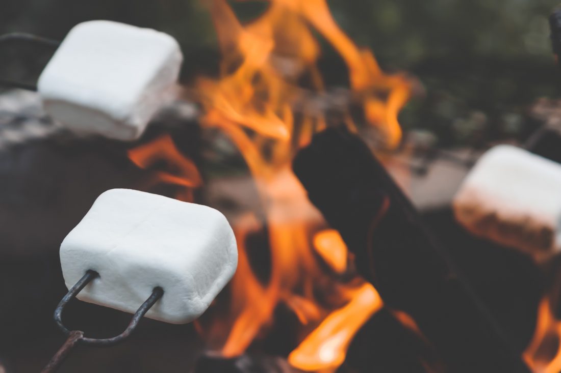 Free stock image of Marshmallows on Camp Fire