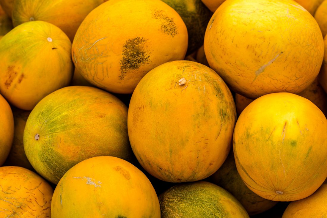 Free stock image of Yellow Melons