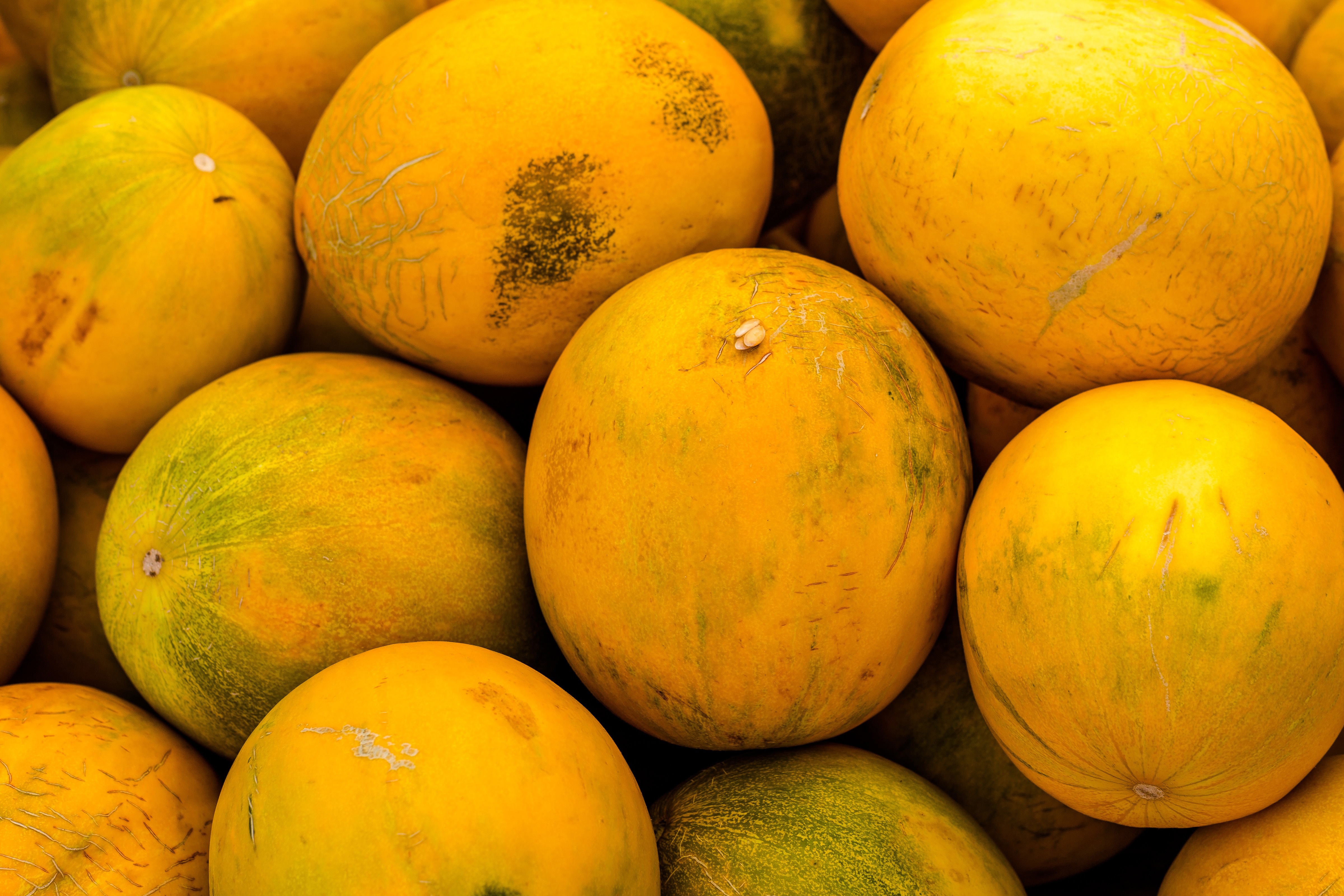 Yellow Melons Royalty Free Stock Photo