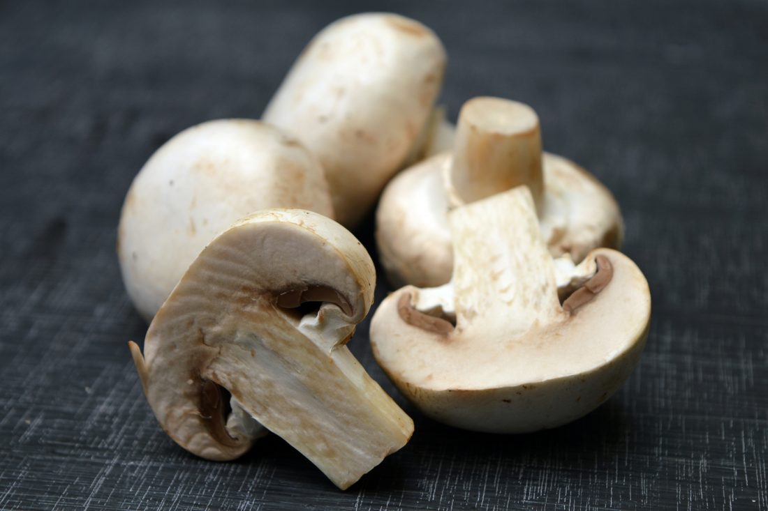 Free stock image of Chopped Mushrooms