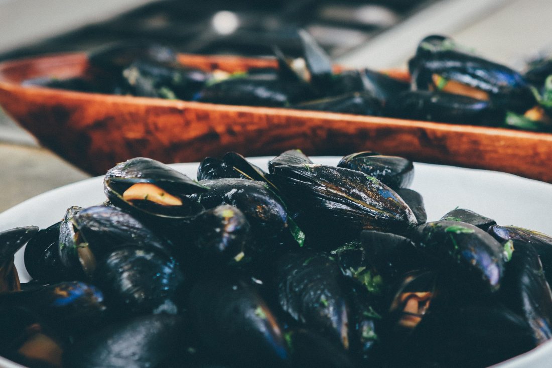 Free stock image of Mussels Seafood