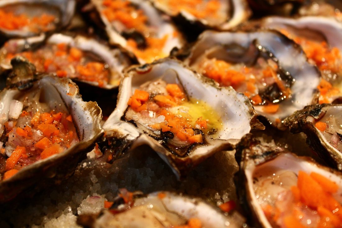 Free stock image of Oysters Seafood