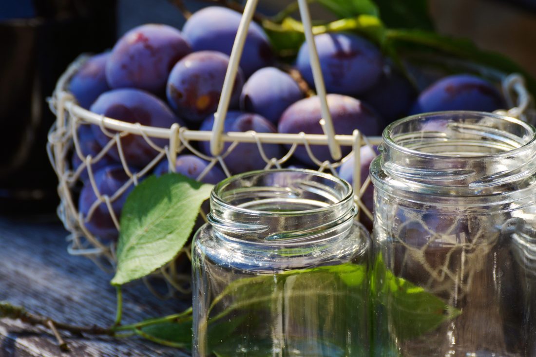 Free stock image of Fresh Plums