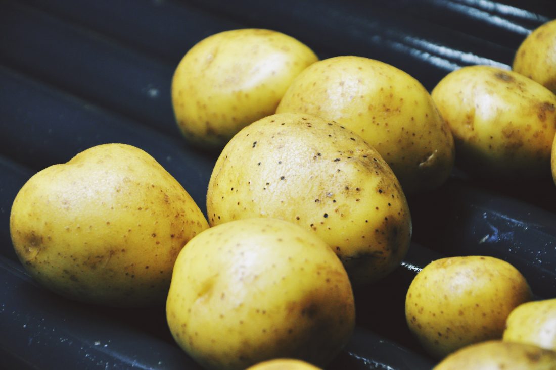 Free stock image of Potatoes