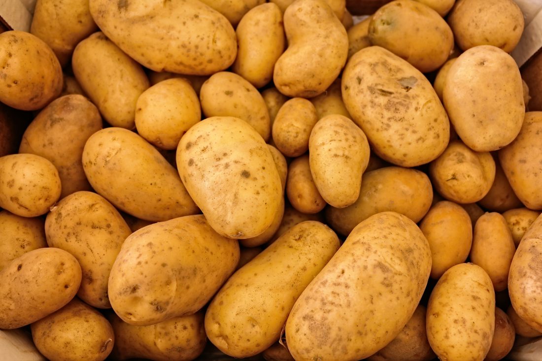 Free stock image of Fresh Potatoes