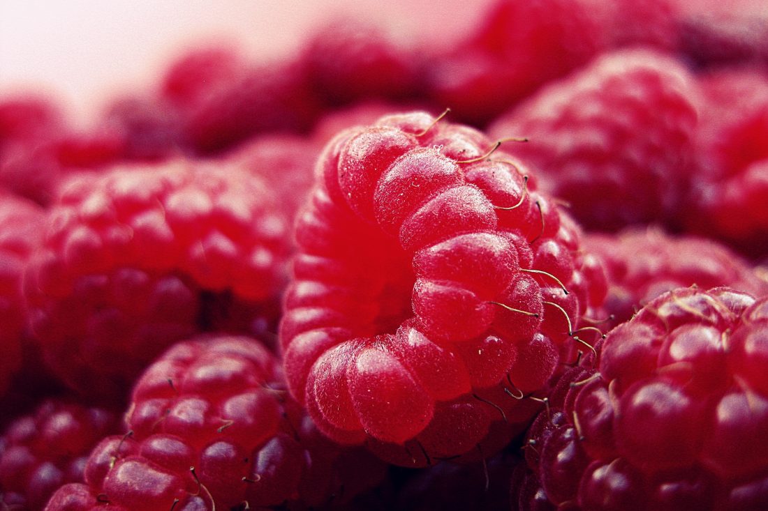 Free stock image of Red Raspberries