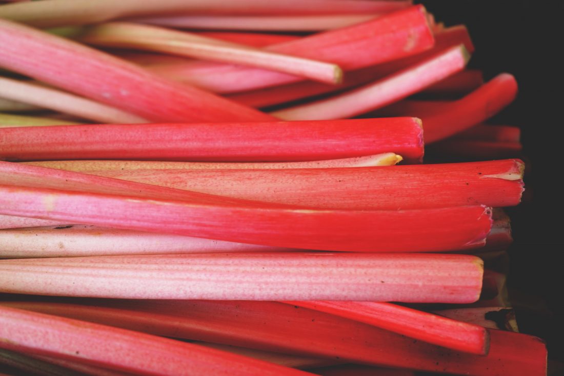 Free stock image of Rhubarb