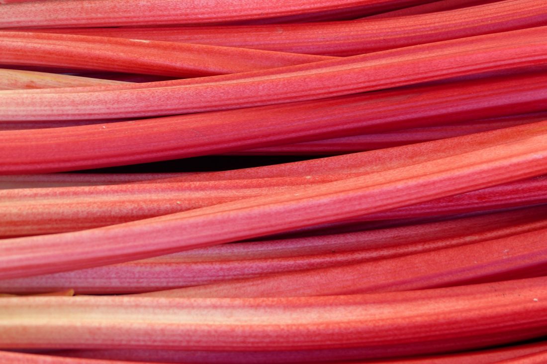 Free stock image of Rhubarb Texture