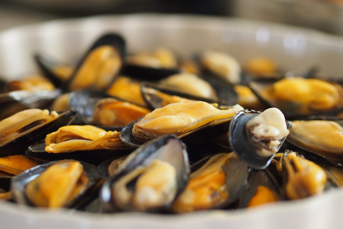 Free stock image of Seafood Mussels