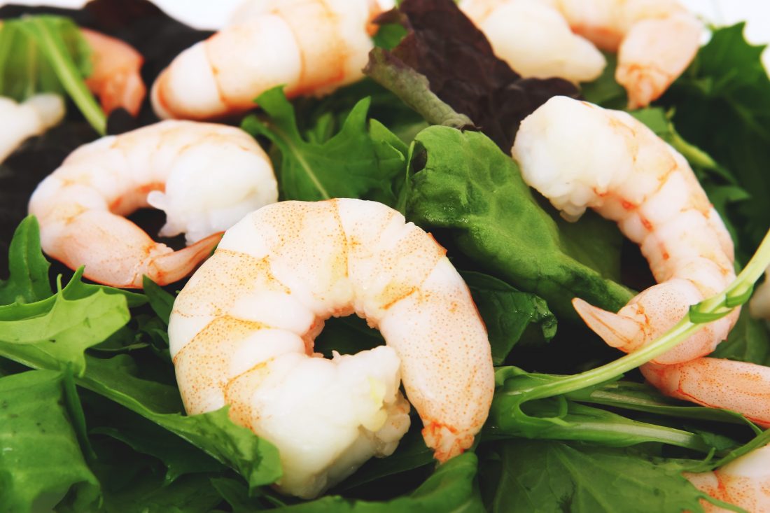 Free stock image of Shrimps Salad