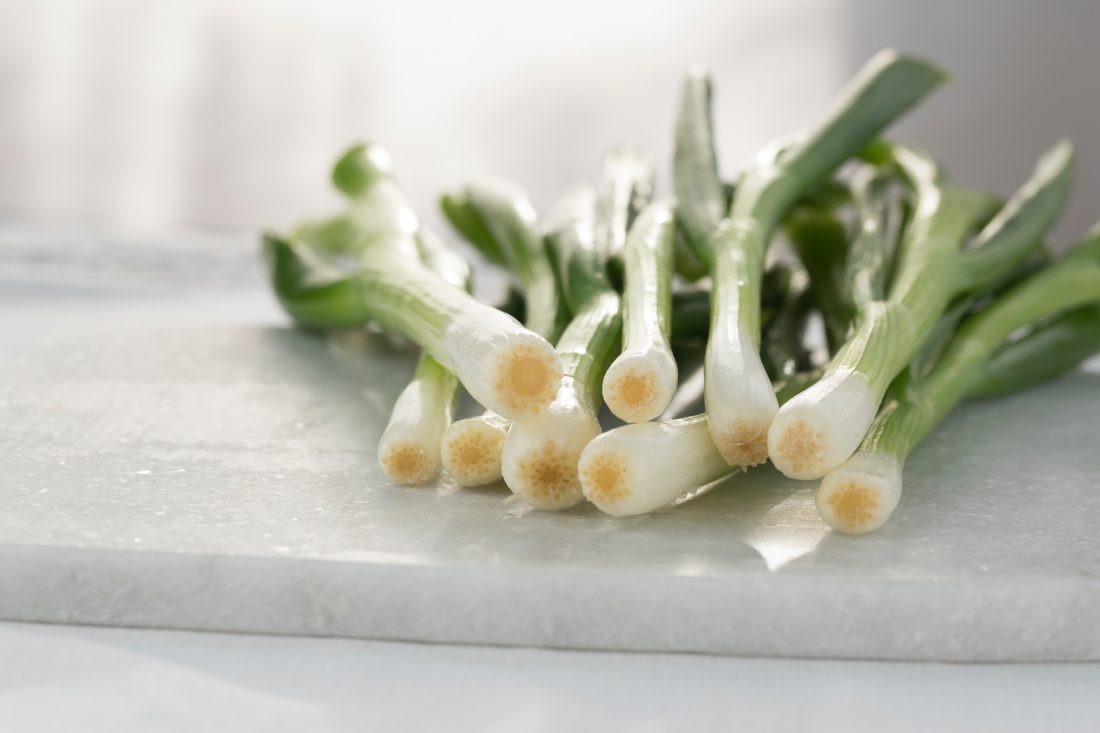 Free stock image of Spring Onions