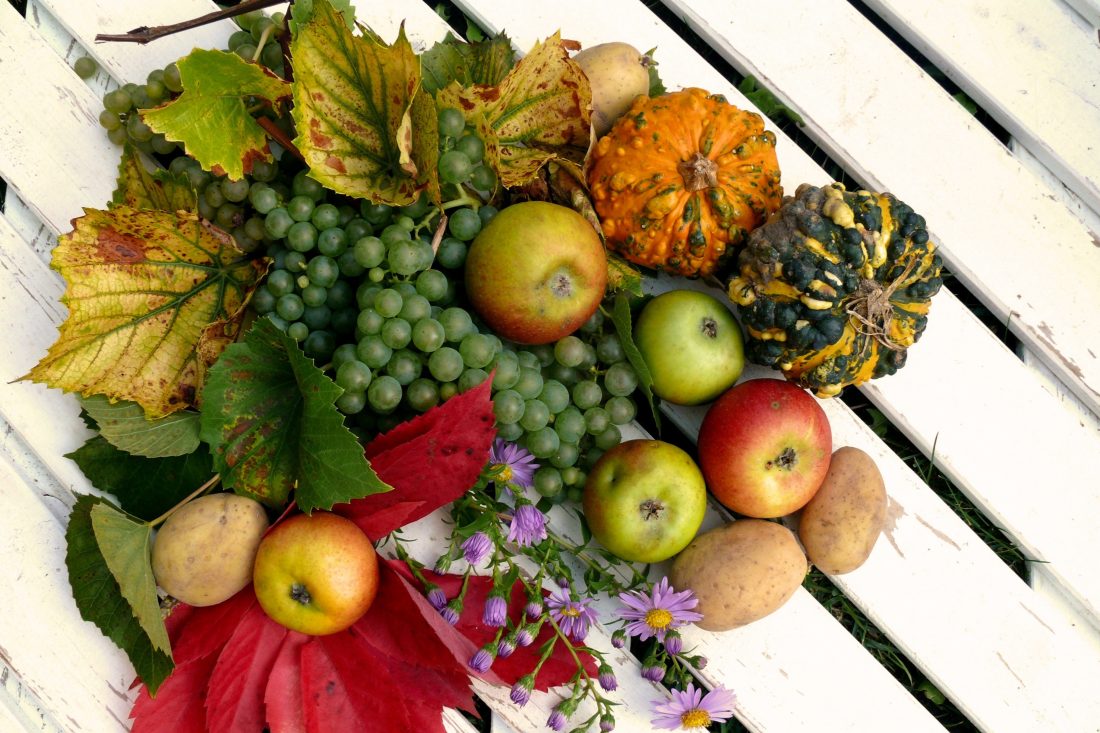 Free stock image of Thanksgiving Harvest