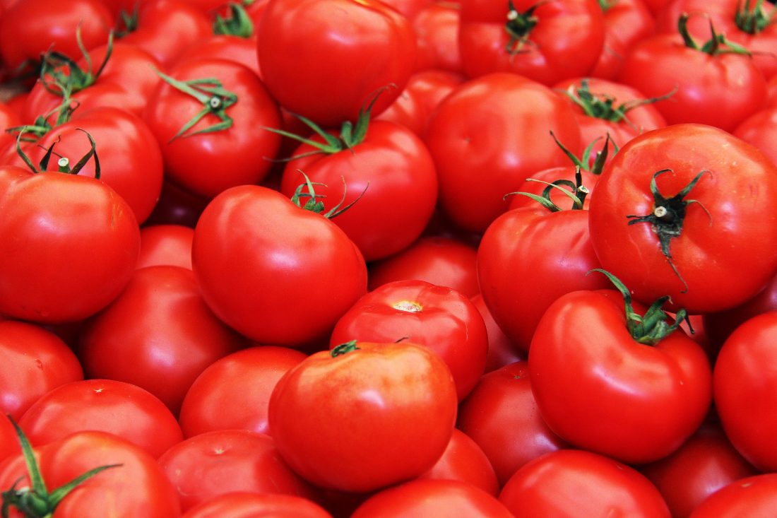 Free stock image of Red Tomatoes