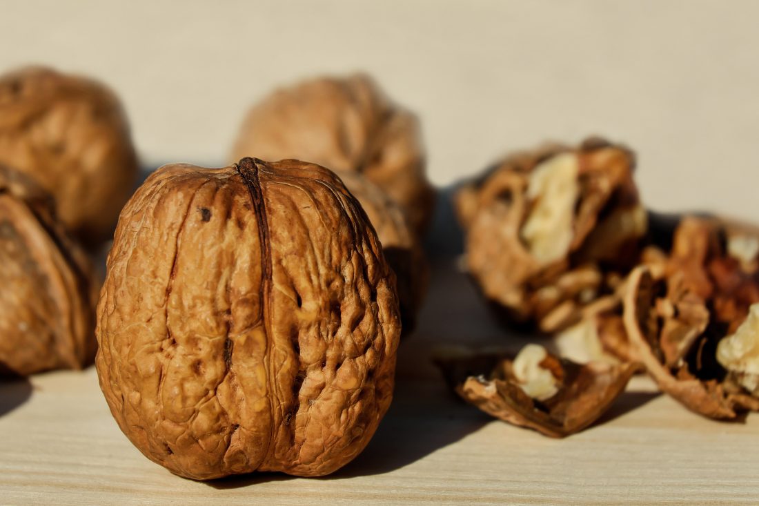 Free stock image of Brown Walnuts