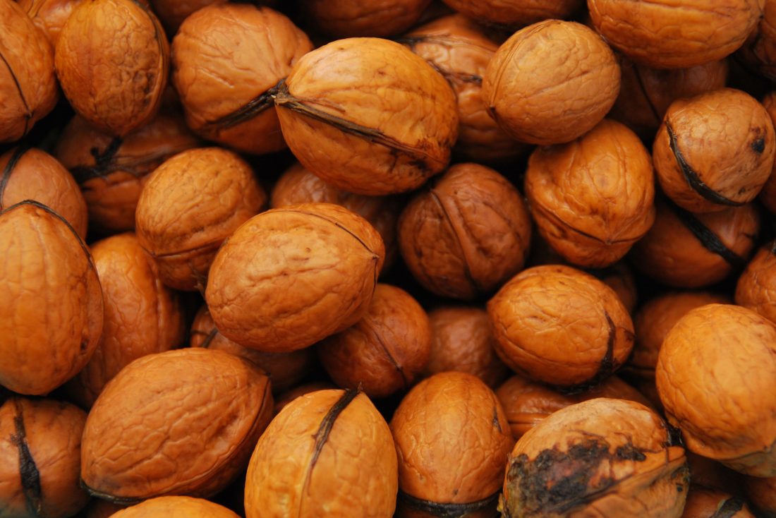 Free stock image of Walnuts Background