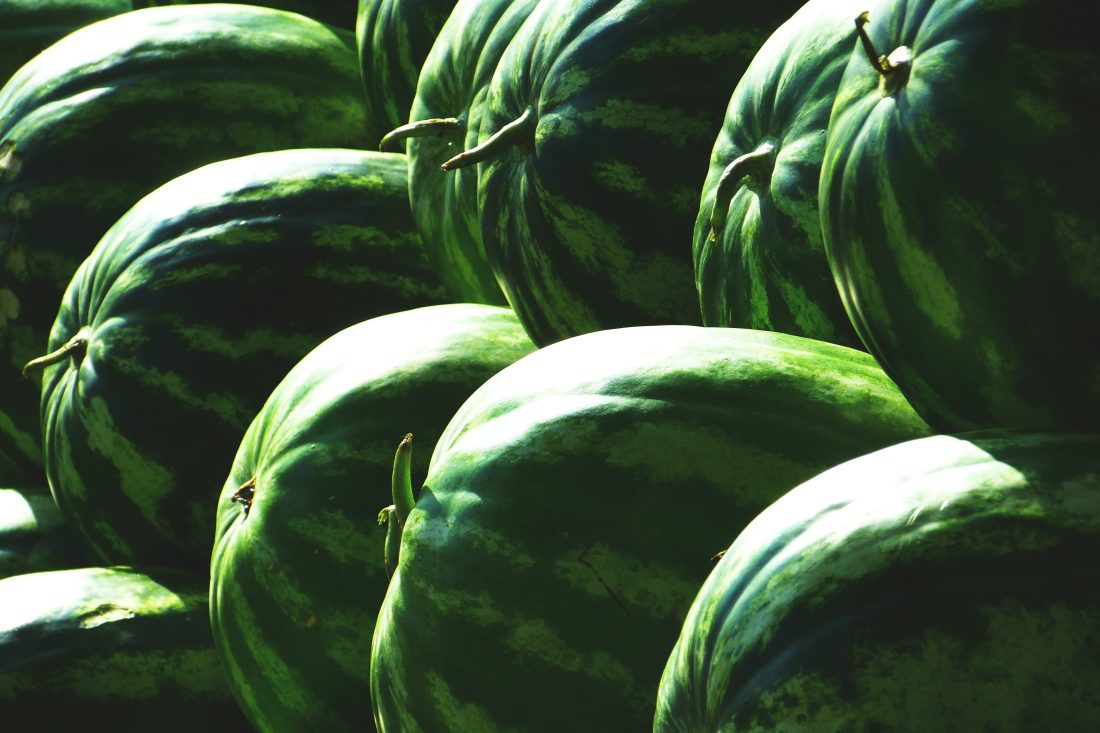 Free stock image of Water Melons