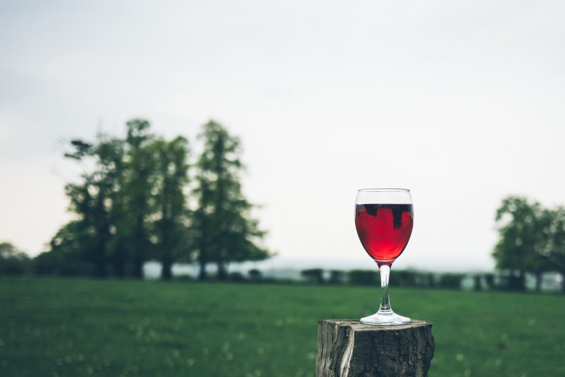 Free stock image of Wine Outdoors