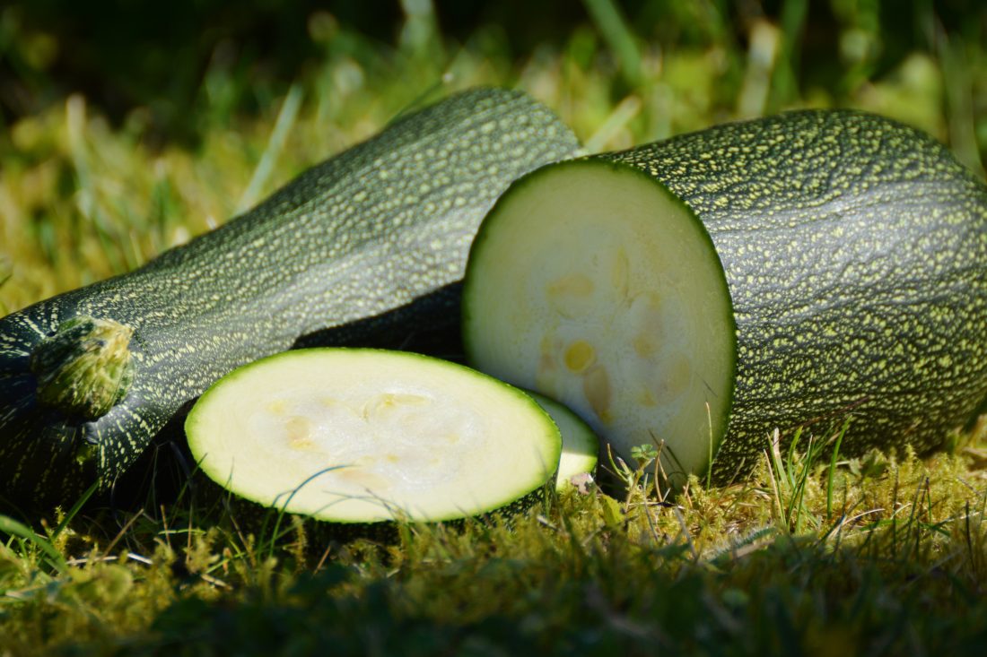 Free stock image of Zucchini Vegetables