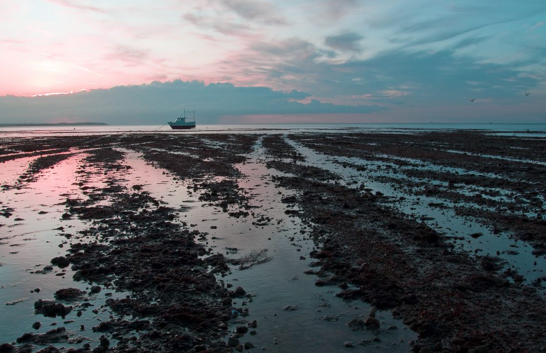 Free stock image of Low Tide