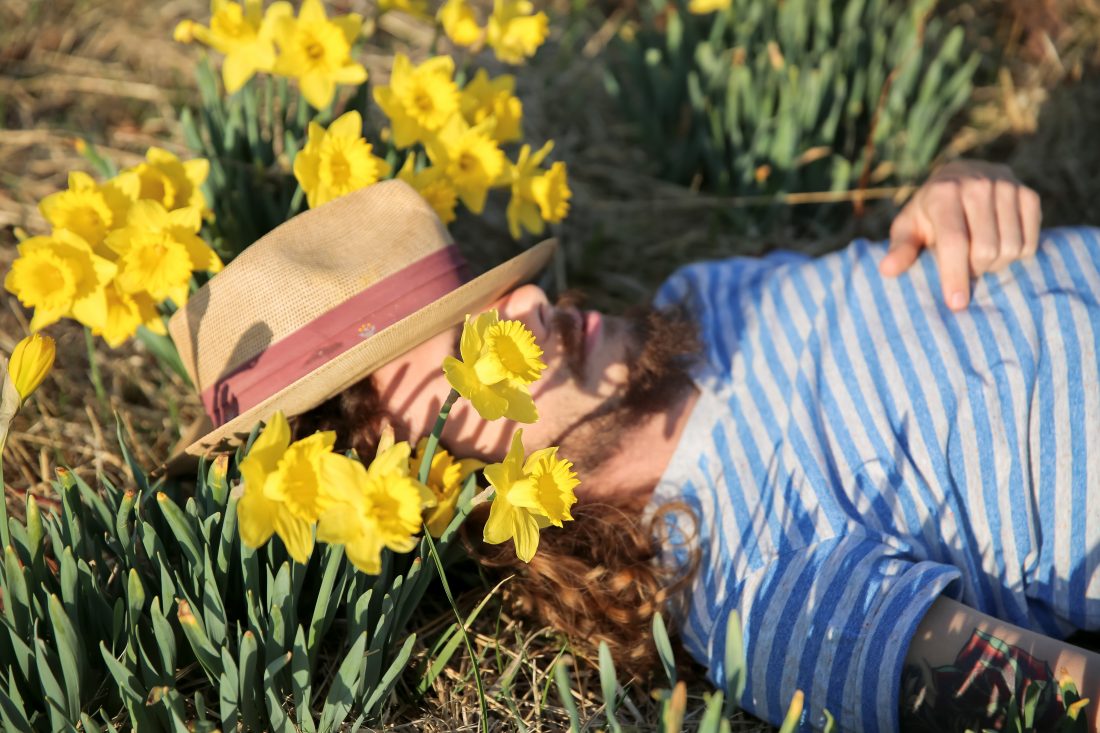 Free stock image of Man Lying in Flowers