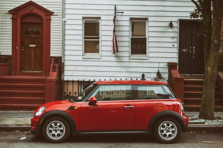 Mini in Brooklyn