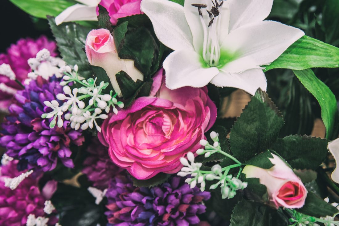 Free stock image of Mixed Flowers