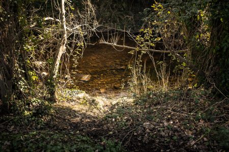 Archway To The River