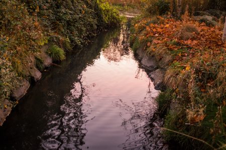 Autumn Leaves River Reflection