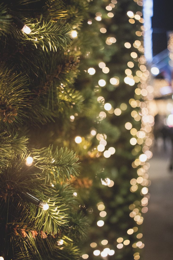 Free stock image of Christmas Lights Tree Bokeh