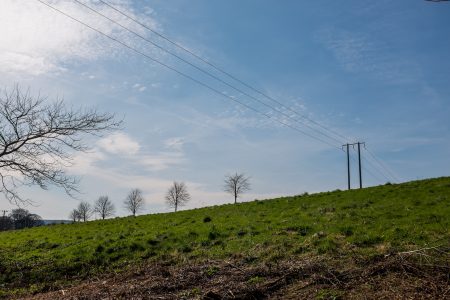 Electrical Wires