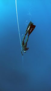 Diving the Sea - free blue photos