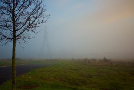 Autumn Fog