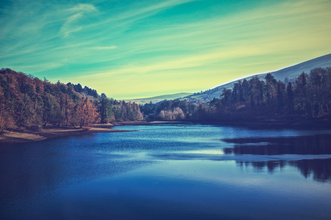 Free stock image of A Lake In A Forest