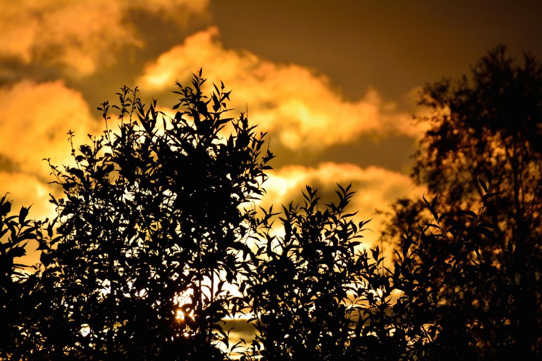 Free stock image of Norwegian Sunset
