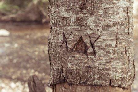 Tree Trunk Engraved