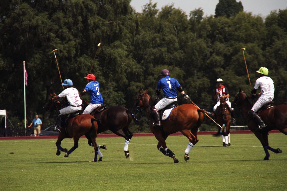 Free stock image of Polo Game