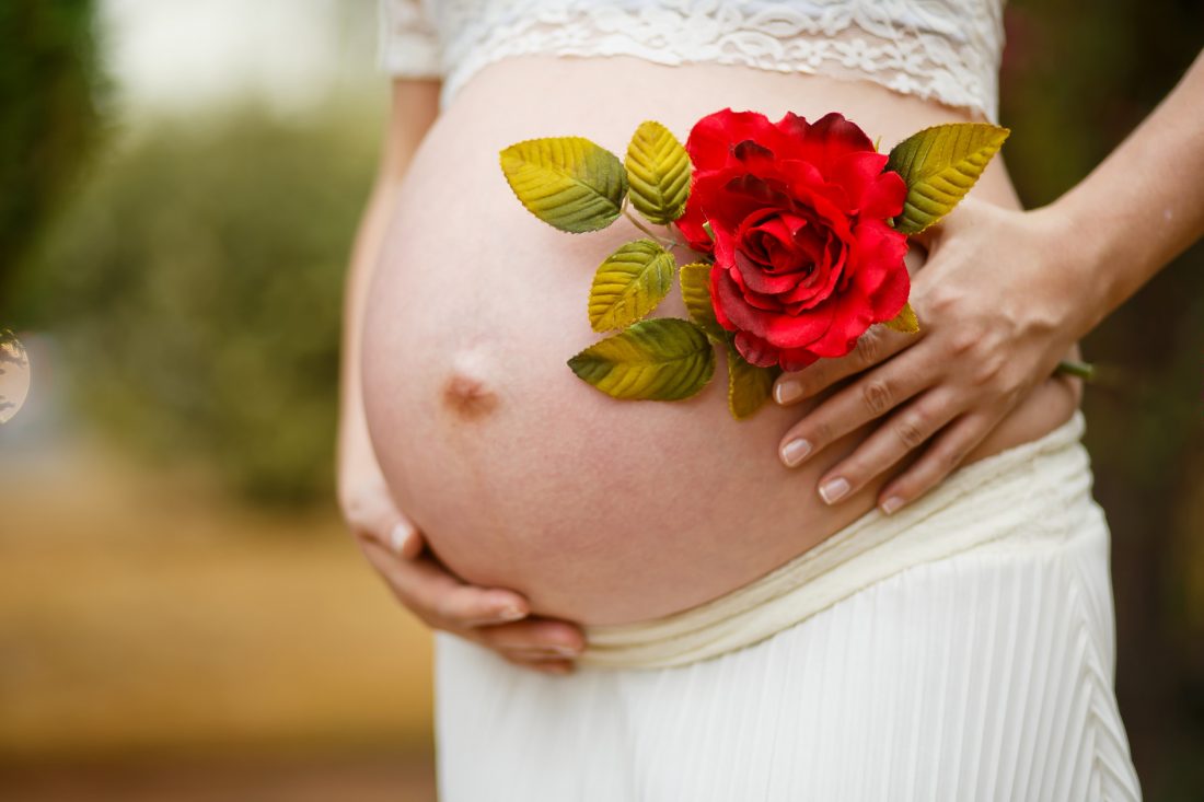 Free stock image of Pregnant & Rose