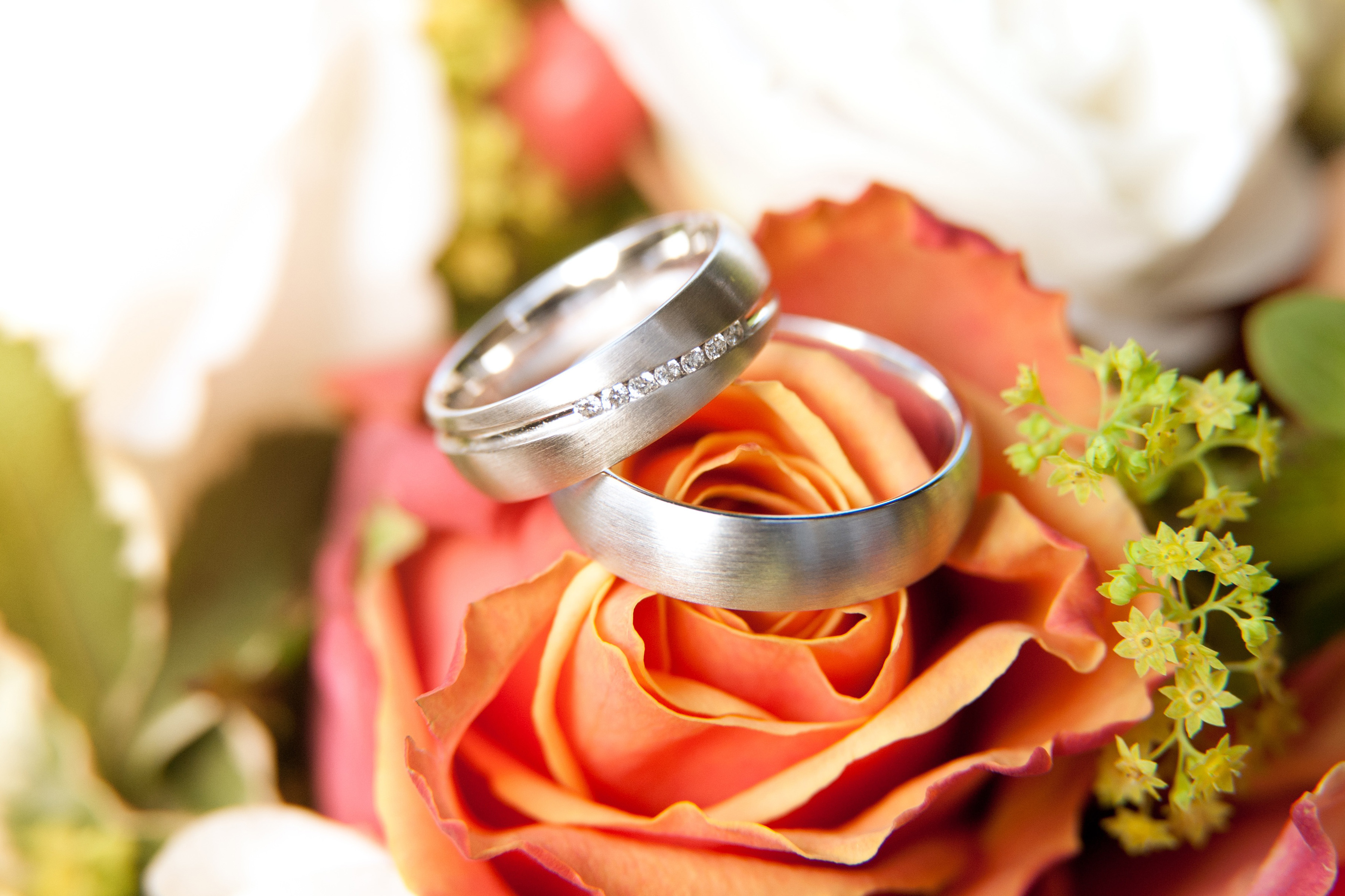 Wedding Rings Background Images - Free Download on Freepik