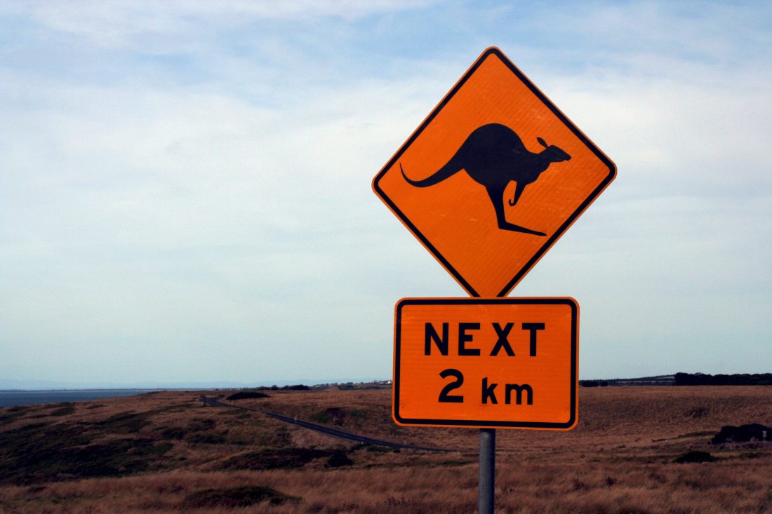 Free stock image of Kangaroo Warning Sign