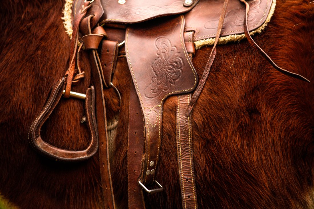 Free stock image of Horse Saddle