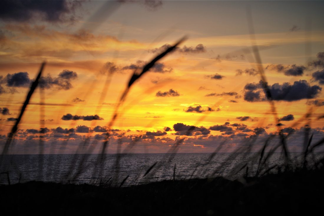 Free stock image of Seascape Sunset