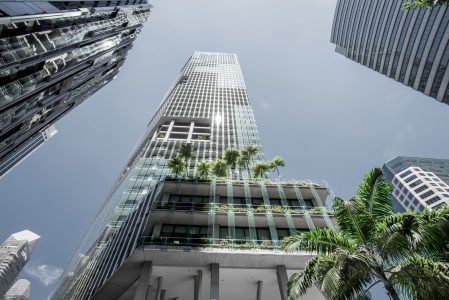 Skyscraper Garden