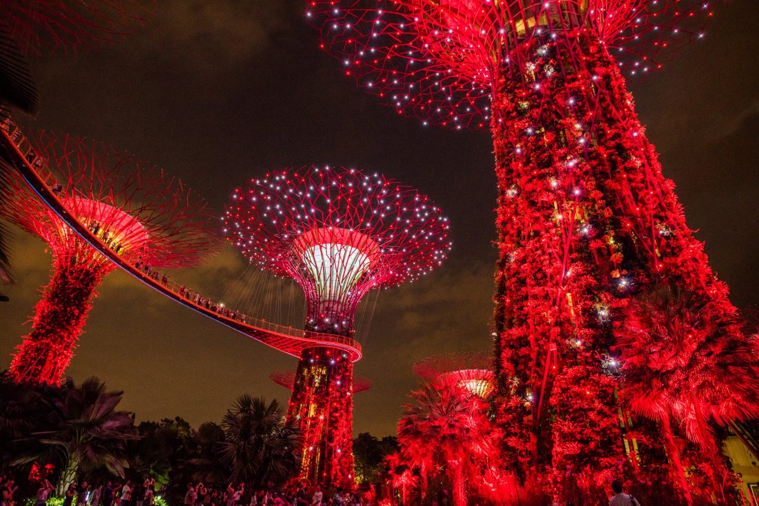 Free stock image of Singapore Garden Lights