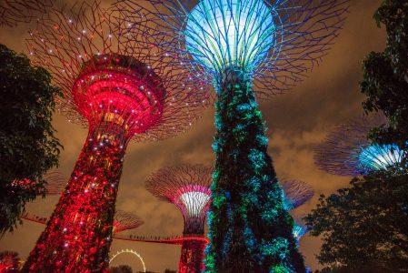 Marina Bay Sands Gardens