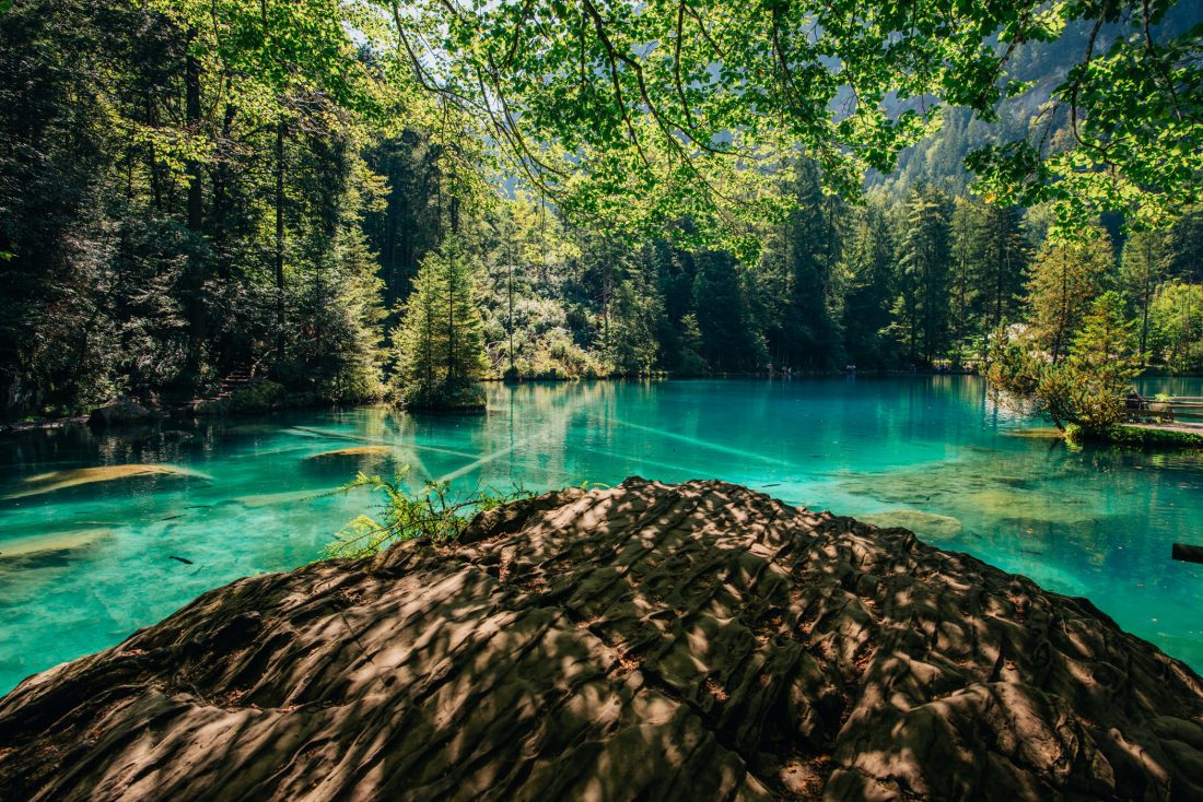 Free stock image of Beautiful Mountain Lake in the Summer