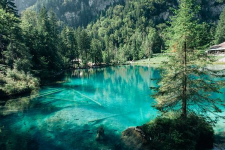 Beautiful Lake in Summer