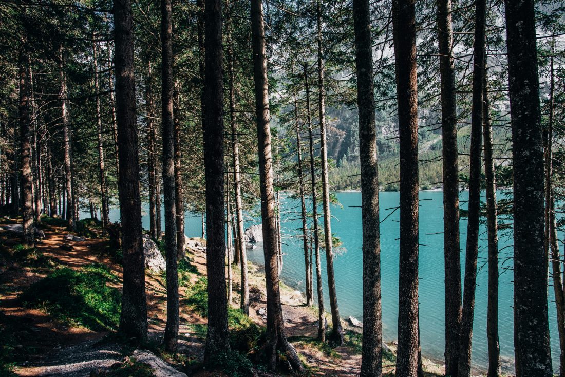 Free stock image of Blue Mountain Lake Through Trees