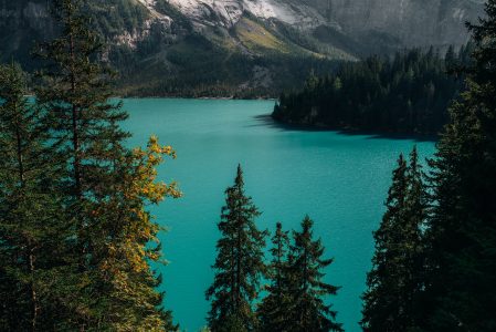 Winter Lake, Mountains & Forest